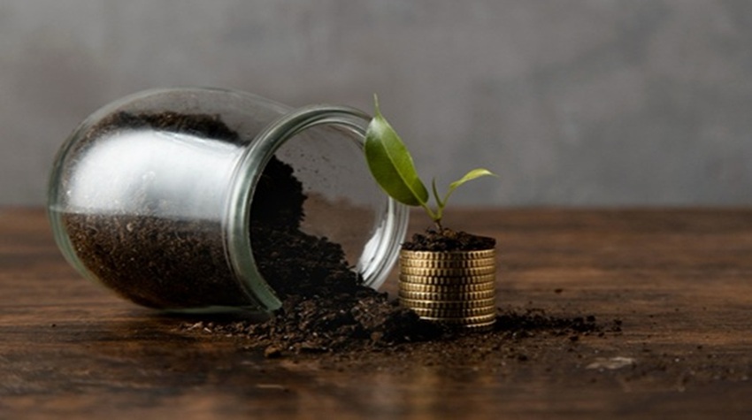 How Inflation Slowly Eats Your Savings and What to Do?