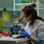 iso 22000 sertifikası