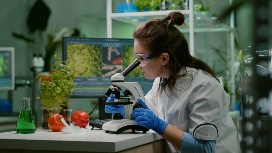 iso 22000 sertifikası
