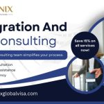 Immigration Consultants