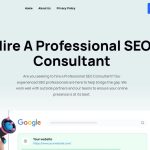 Professiona SEO Consultant.Online Reviews