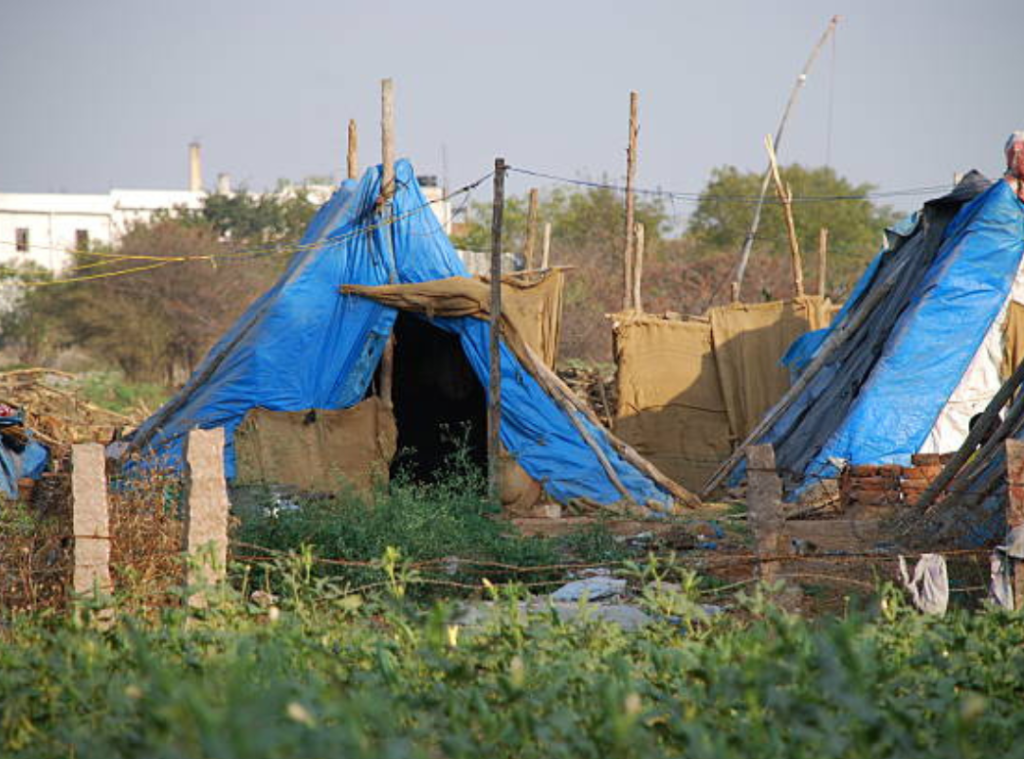 Explore how shelters support conflict survivors through healing, empowerment, and community reintegration in post-conflict environments.