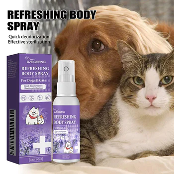 How to Keep Your Home Clean and Safe for Your Pets with Eco-Friendly Products