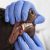 Why Your Pet’s Dental Health Deserves More Attention Than You Think