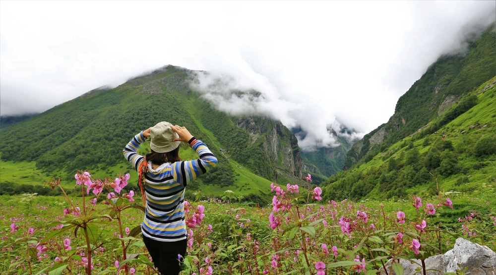 Valley Of Flowers