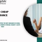 valrico fl cheap auto insurance