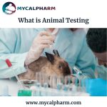 animal experiments in pharmacology