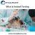 Animal Experiments In Pharmacology With MyCalPharm