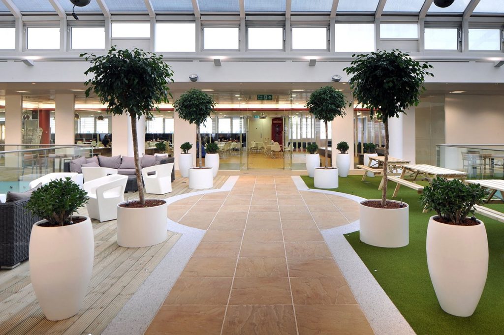 A bright, modern commercial interior space with clean floors, comfortable seating, and lush indoor plants, highlighting a well-maintained environment.