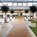 A bright, modern commercial interior space with clean floors, comfortable seating, and lush indoor plants, highlighting a well-maintained environment.