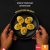 Bombay Boil Fry: The Bold Egg Dish Bringing Mumbai Vibes to Vadodara!