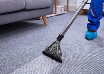 Professional Carpet Cleaning: The Key to a Stunning Home Aesthetic