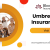 Personal & Landlord Umbrella Insurance in Valrico, FL | Bloomingdale Insurance Services