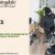 Renters Insurance with Bloomingdale Insurance Services: Complete Protection for Your Rental Life